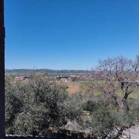 Villa Agriturismo San Rocco Verucchio Extérieur photo